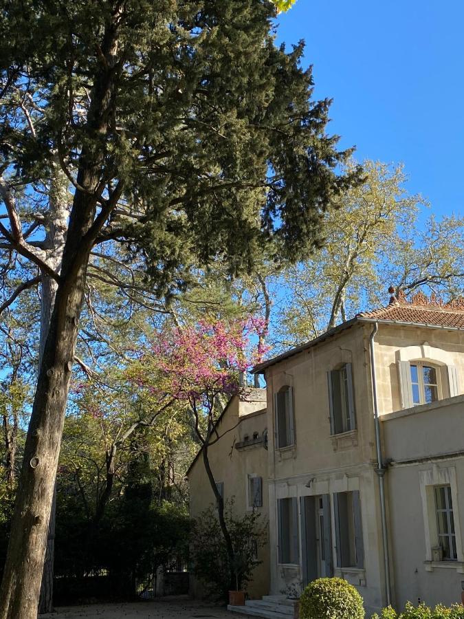 مبيت وإفطار Noves Ermitage Notre Dame De Vacquieres المظهر الخارجي الصورة